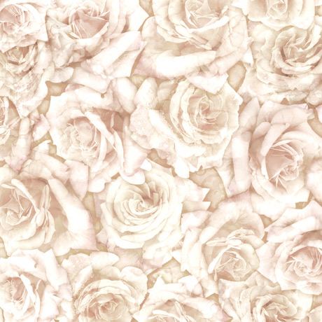 MINKY PRINTS             